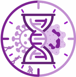 Chronoimmunity
